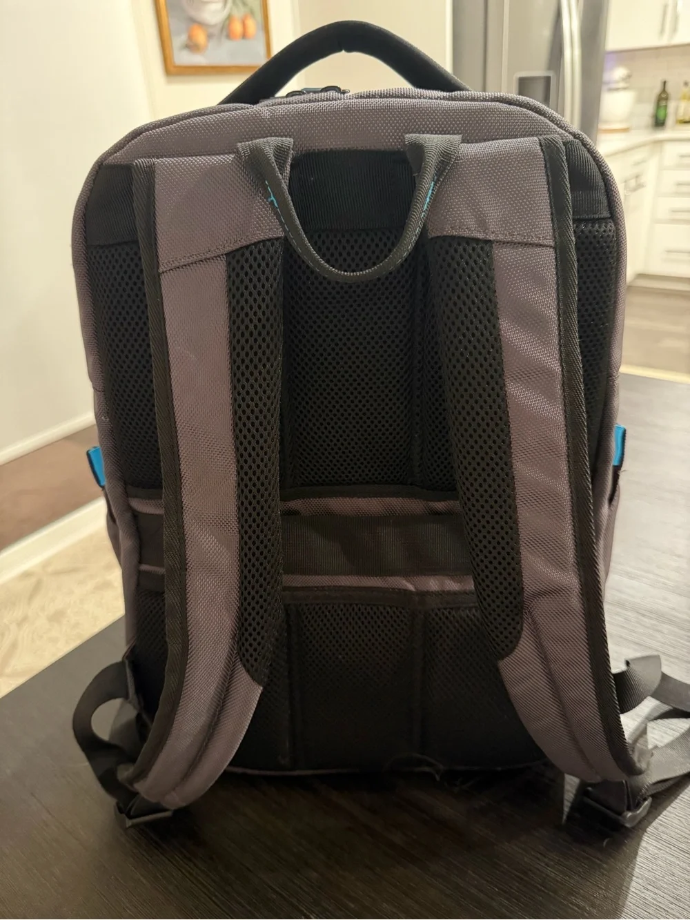 Samsonite Business Laptop Backpack - Gray